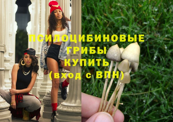 не бодяженный Алексин