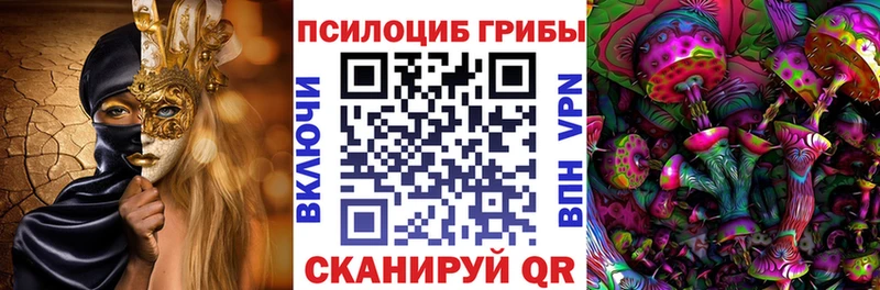 купить наркоту  Гдов  Галлюциногенные грибы прущие грибы 